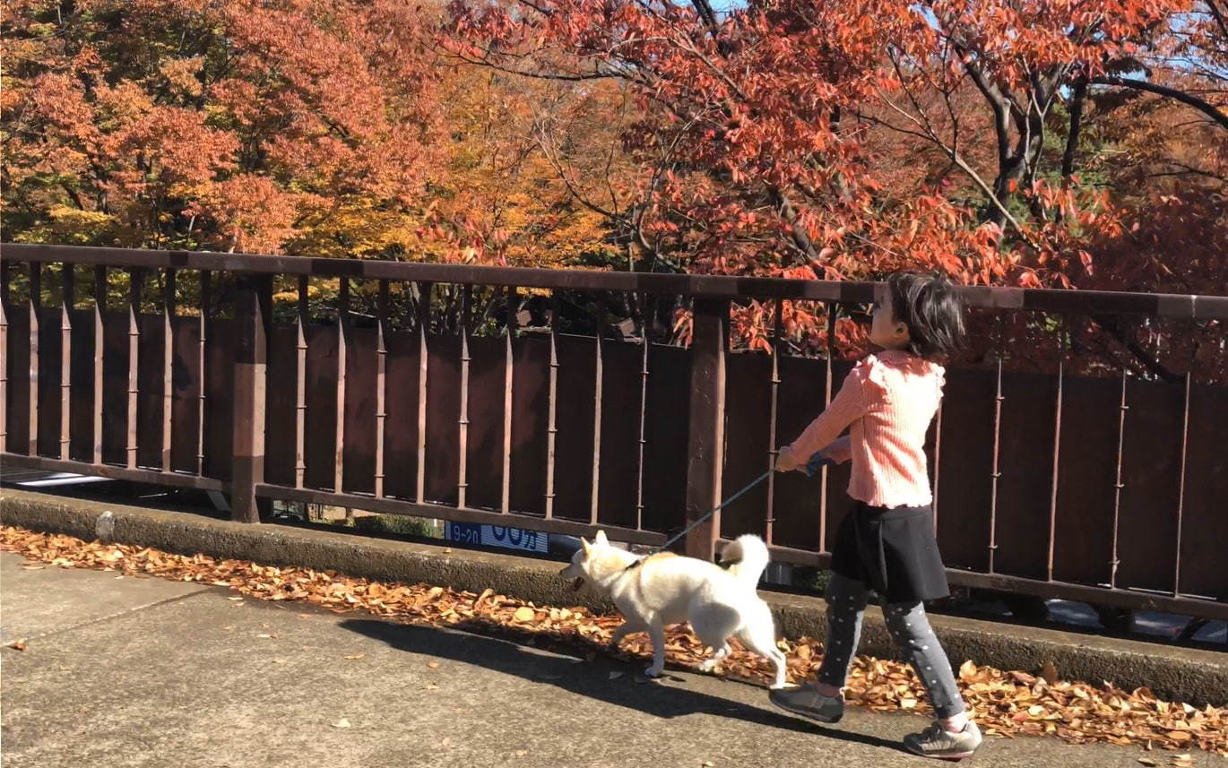 駅までの道をおしえて - 写真9