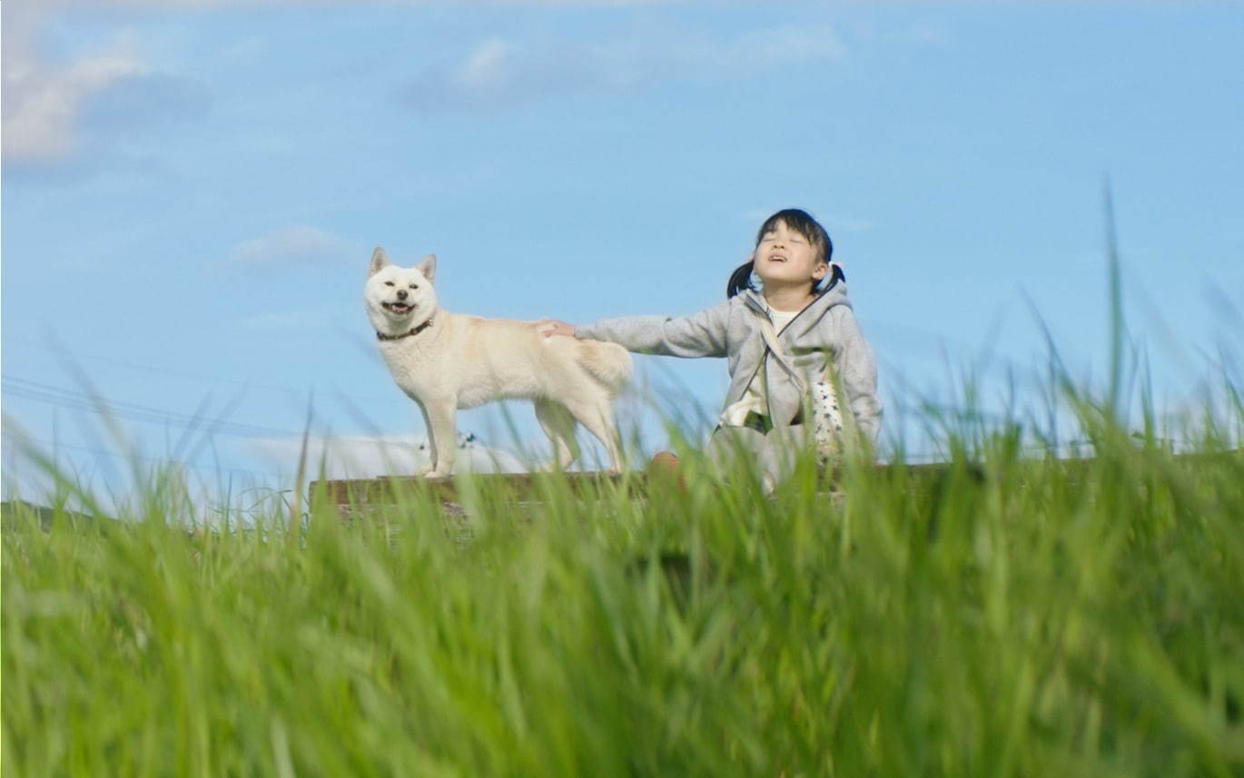 『駅までの道をおしえて』場面カット｜写真5