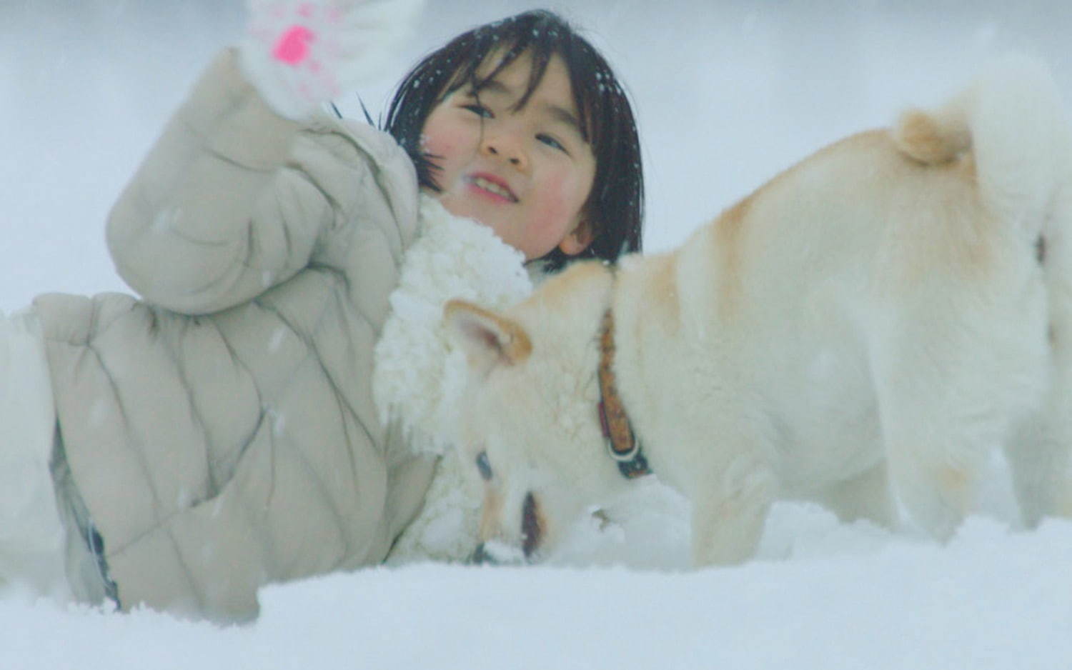 駅までの道をおしえて - 写真10