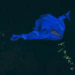 『アンダードッグ』場面カット｜写真17