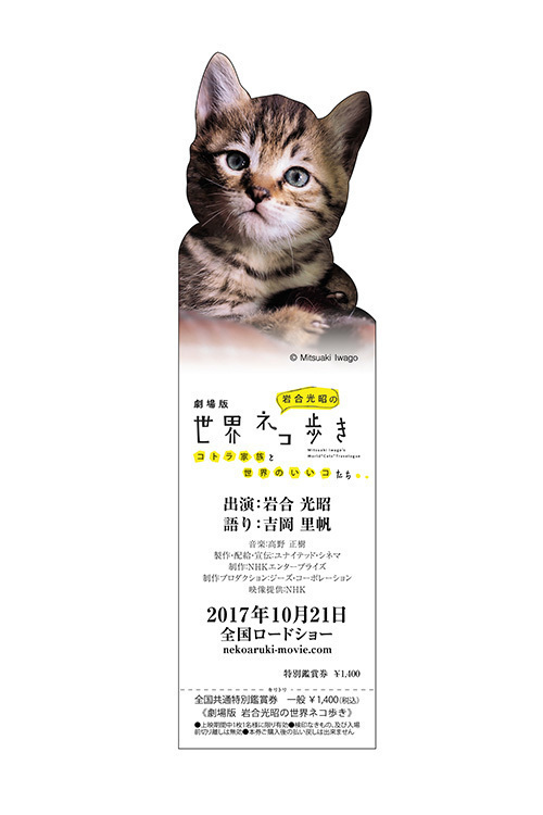 劇場版 岩合光昭の世界ネコ歩き - 写真28