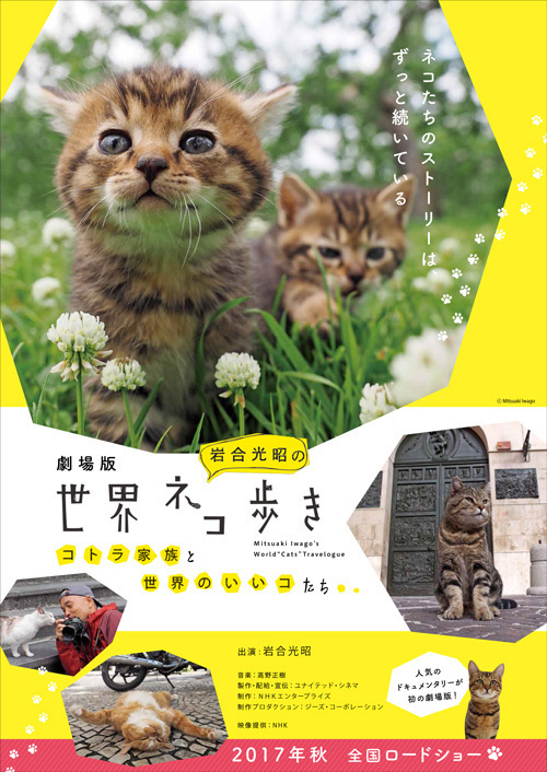 劇場版 岩合光昭の世界ネコ歩き - 写真27