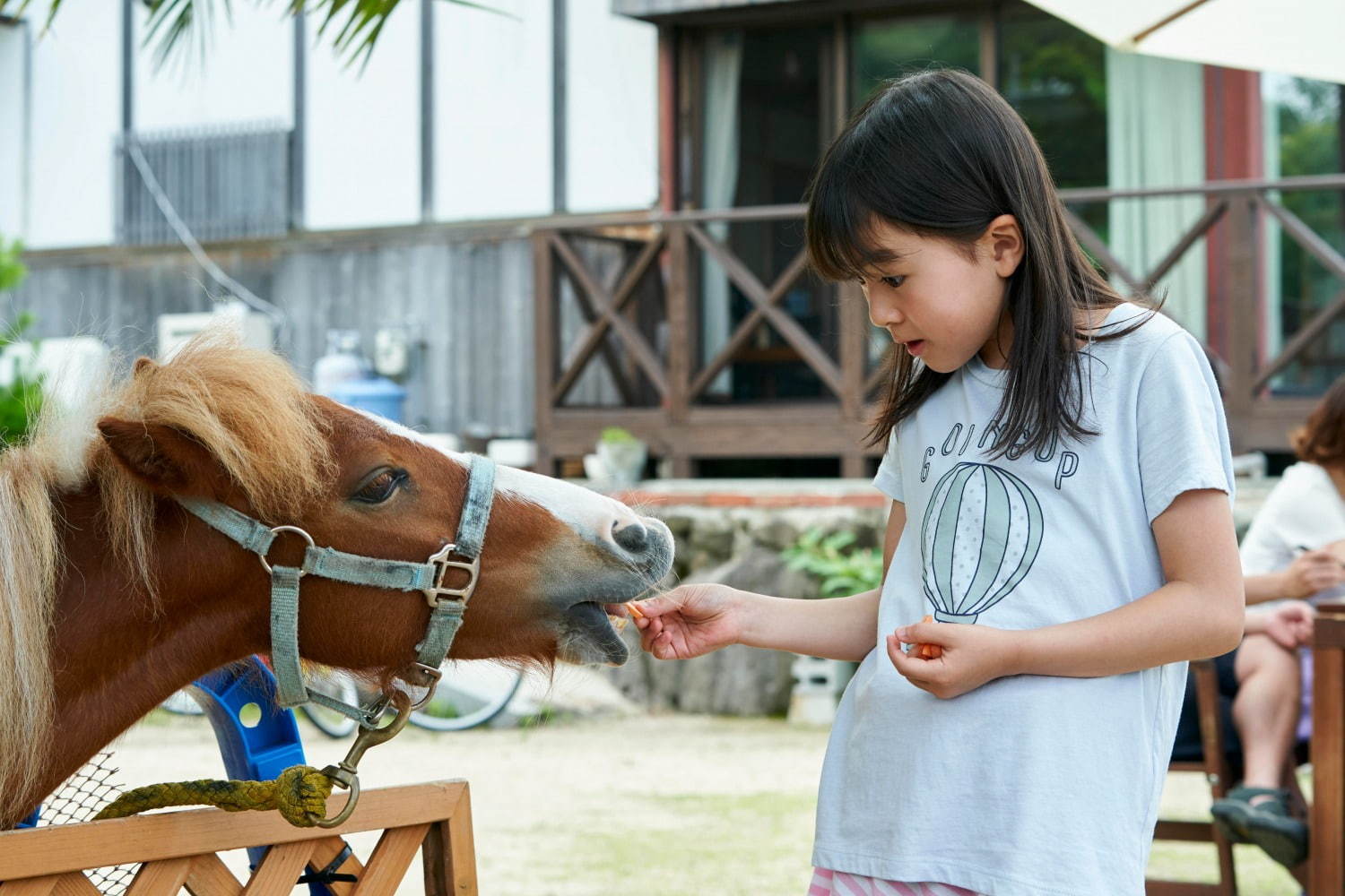 喜劇 愛妻物語 - 写真9