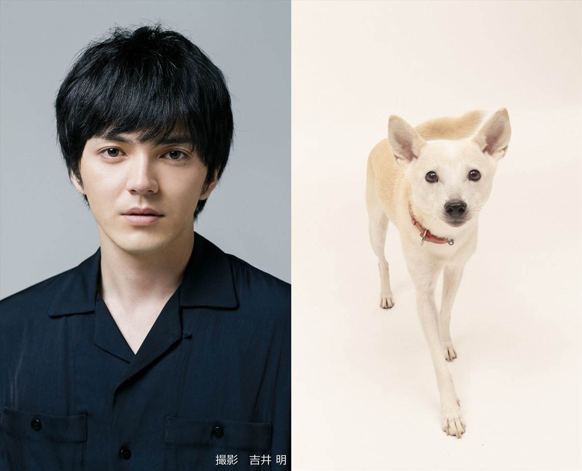 犬部！ - 写真18