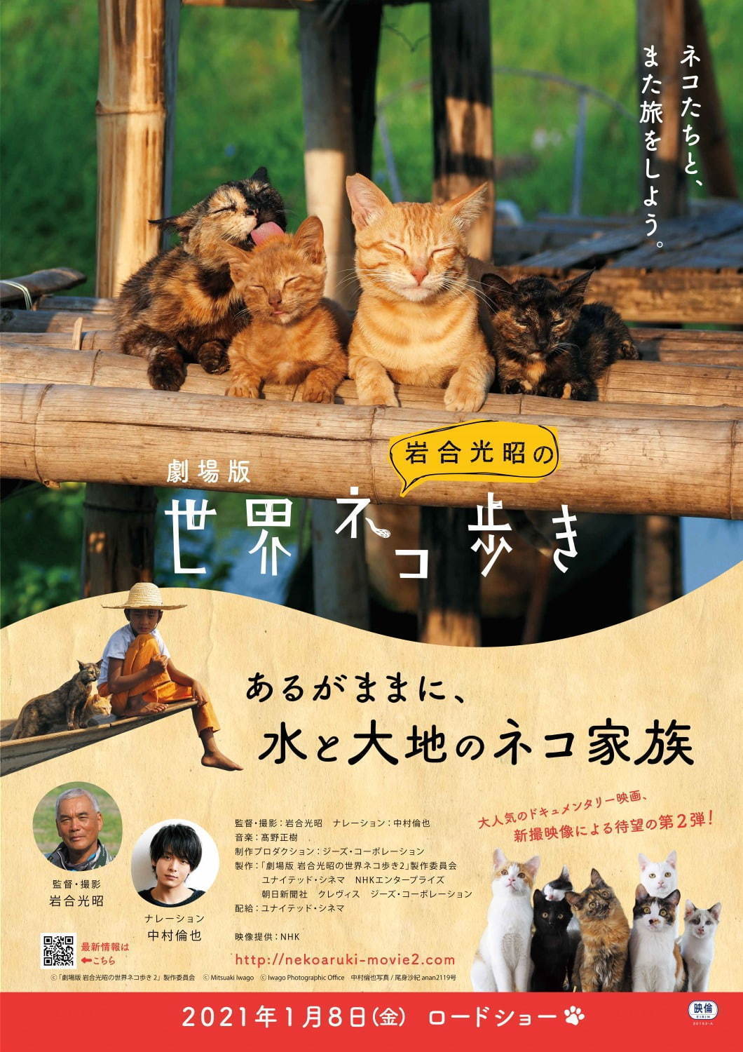劇場版 岩合光昭の世界ネコ歩き あるがままに、水と大地のネコ家族 - 写真12