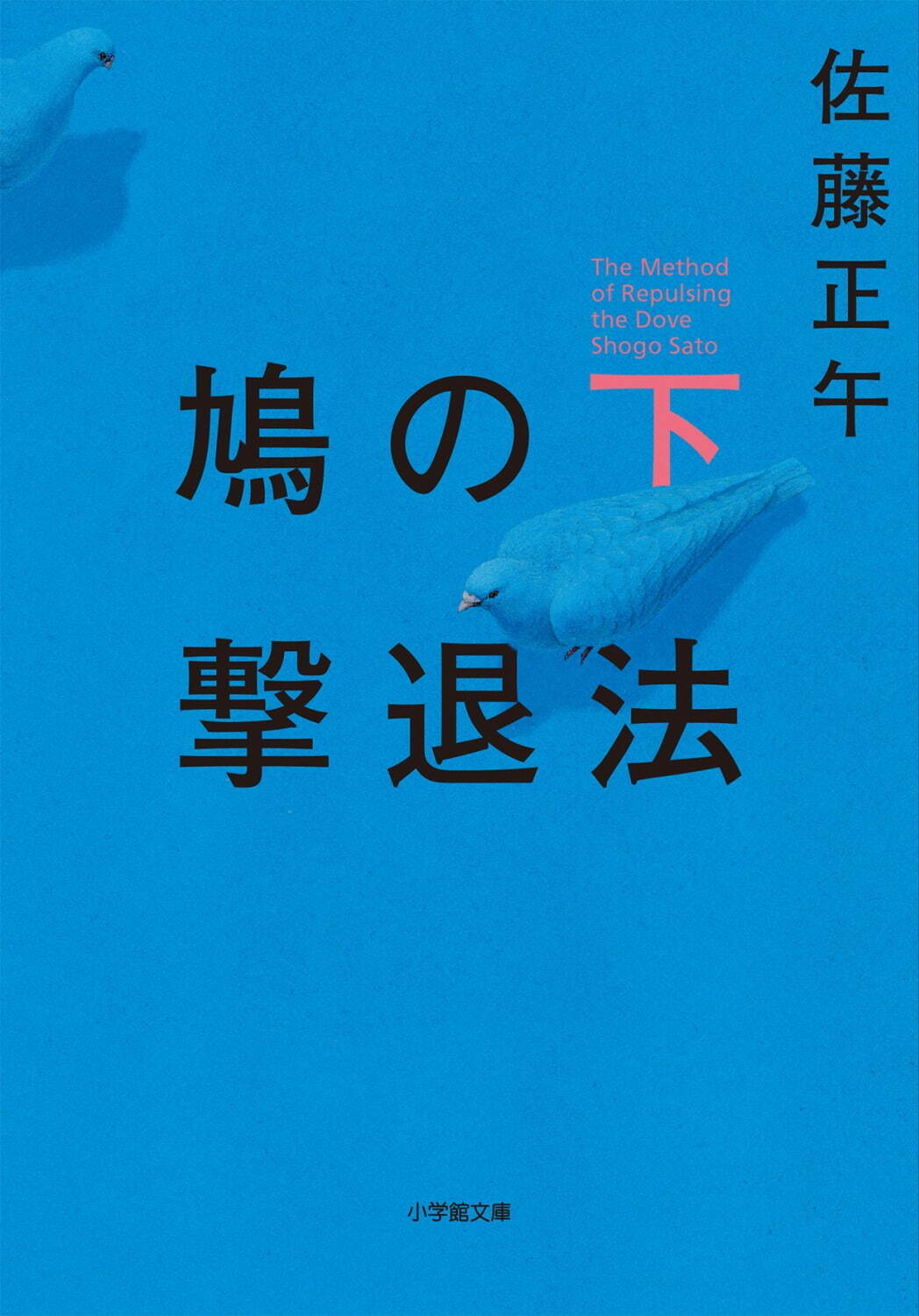 鳩の撃退法 - 写真13