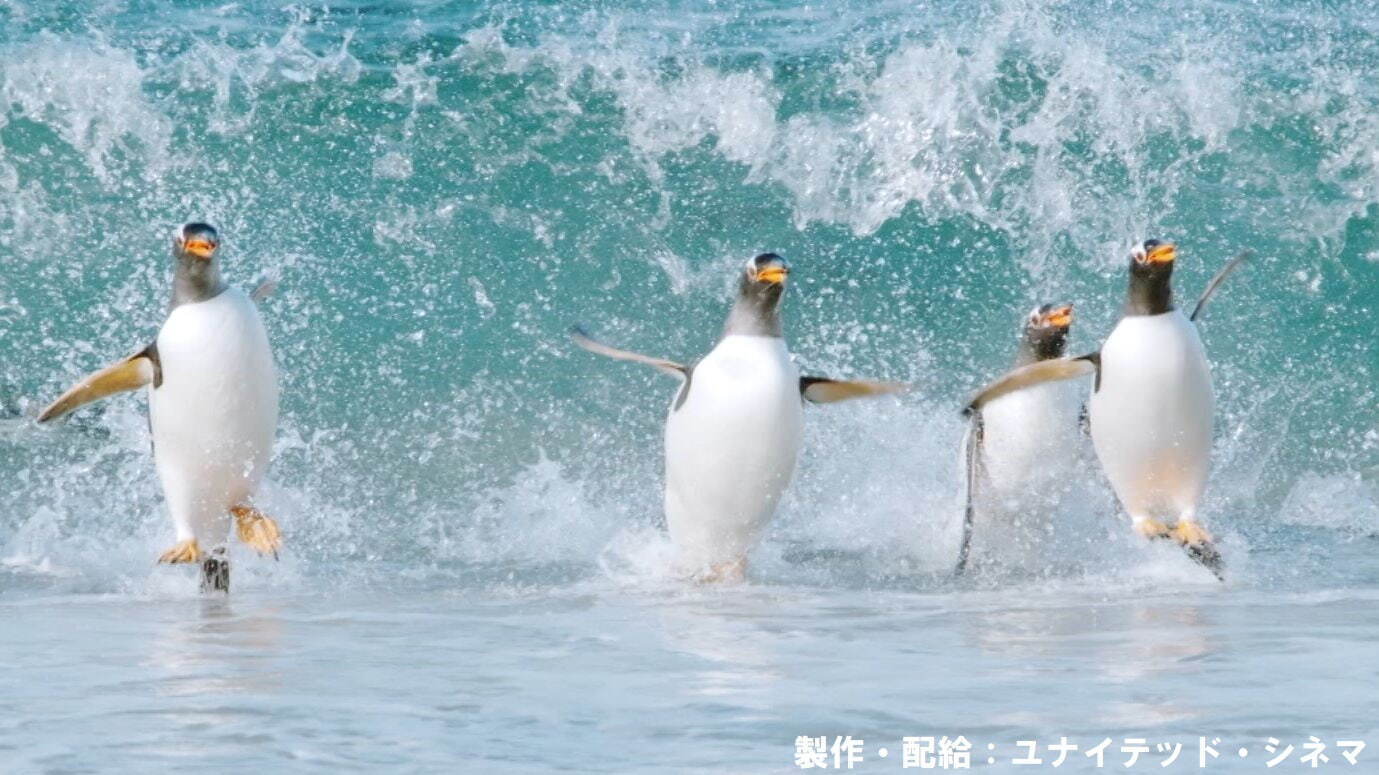 驚き！海の生きもの超伝説 劇場版ダーウィンが来た！ - 写真1