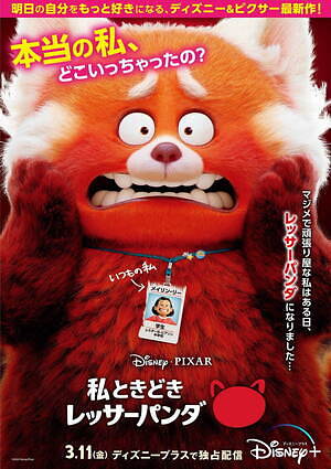 私ときどきレッサーパンダ 画像1
