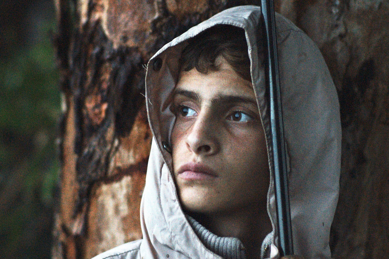 映画『国境の夜想曲』