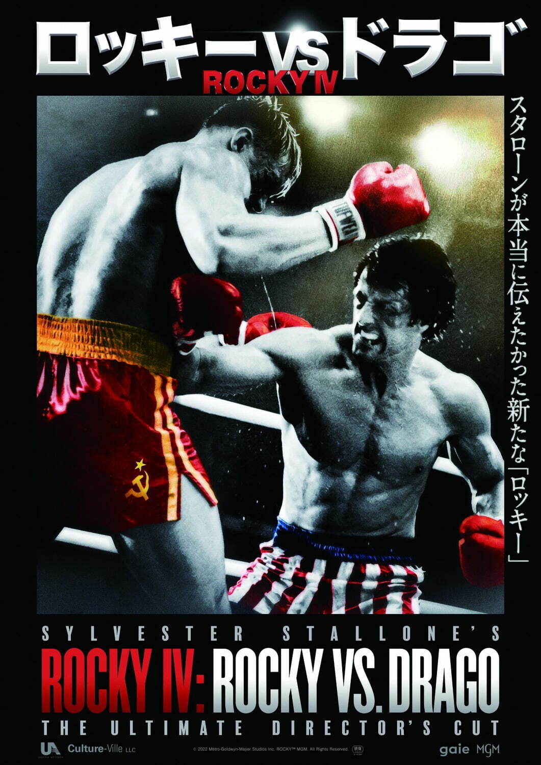 ロッキーVSドラゴ：ROCKY IV - 写真14