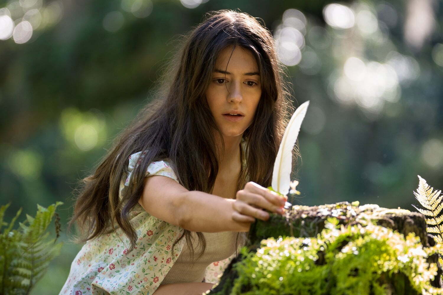 映画『ザリガニの鳴くところ』