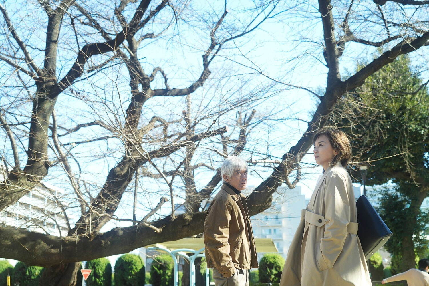 『春に散る』場面カット｜写真8
