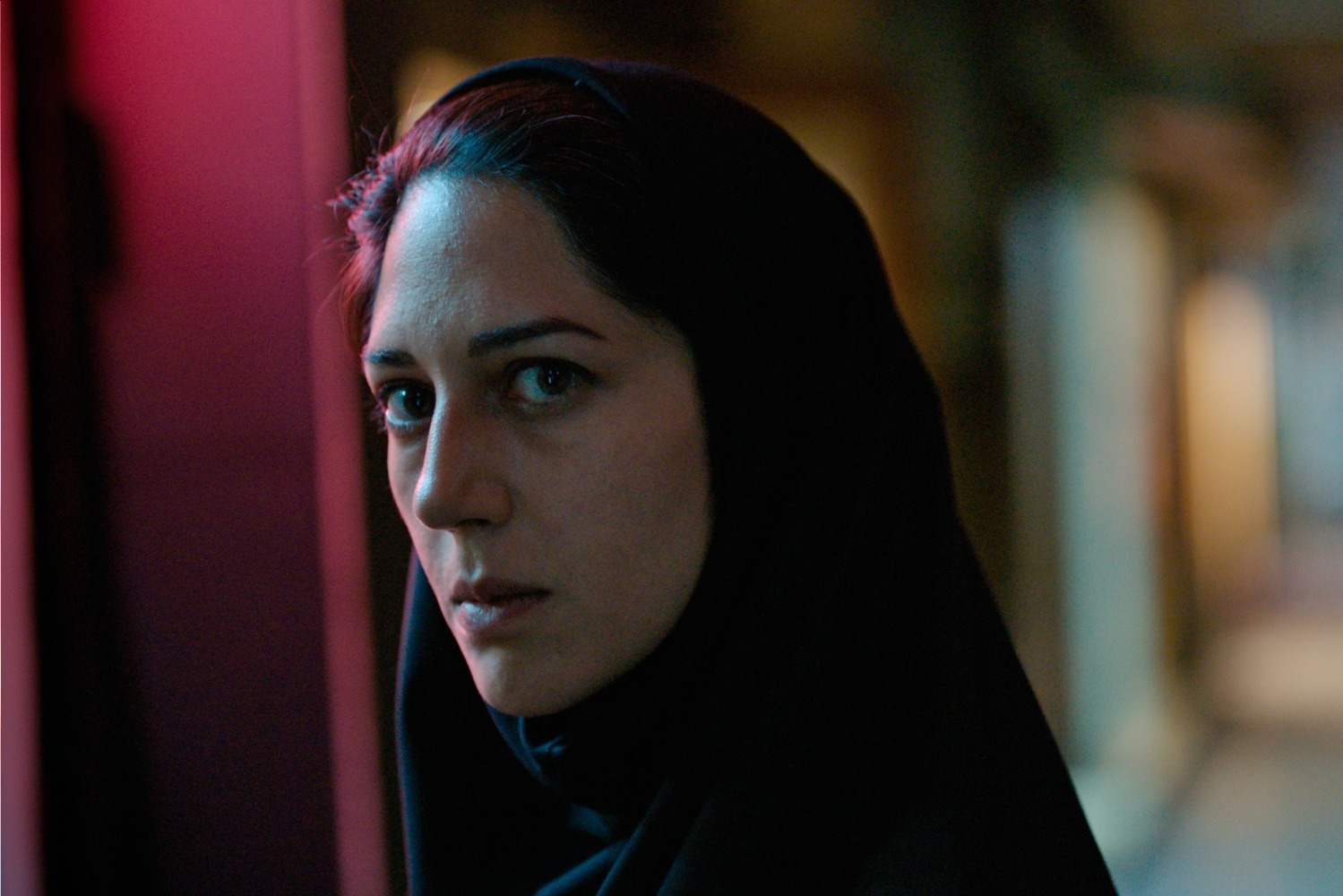 映画『聖地には蜘蛛が巣を張る』