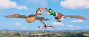 FLY！／フライ！ 画像4