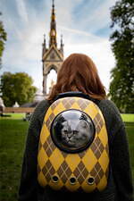 『ARGYLLE／アーガイル』場面カット｜写真10