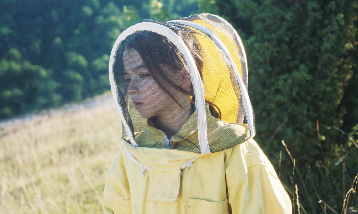 ミツバチと私 - 写真1