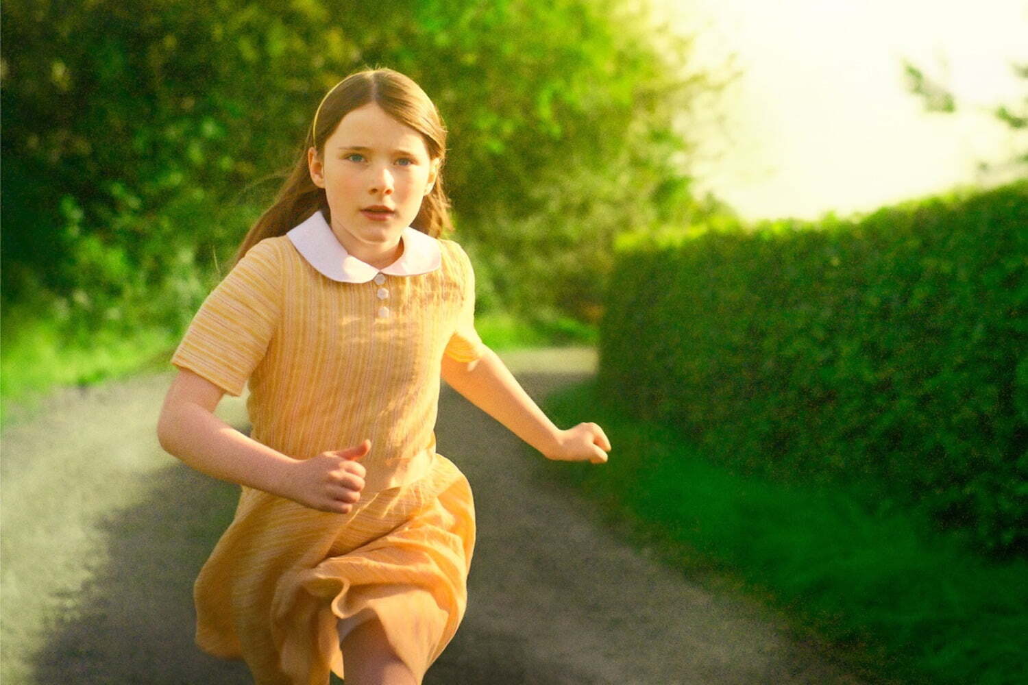 映画『コット、はじまりの夏』