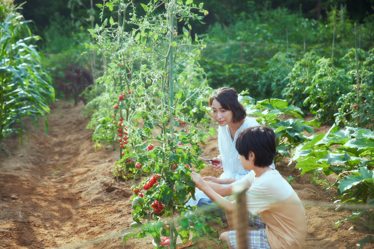 かくしごと - 写真8