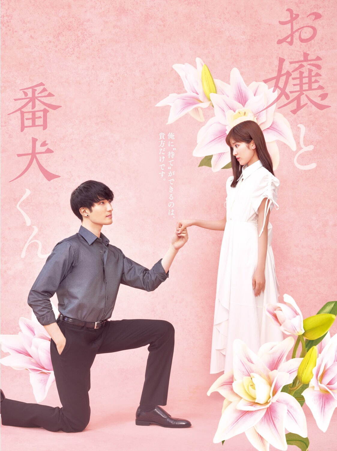 お嬢と番犬くん - 写真21
