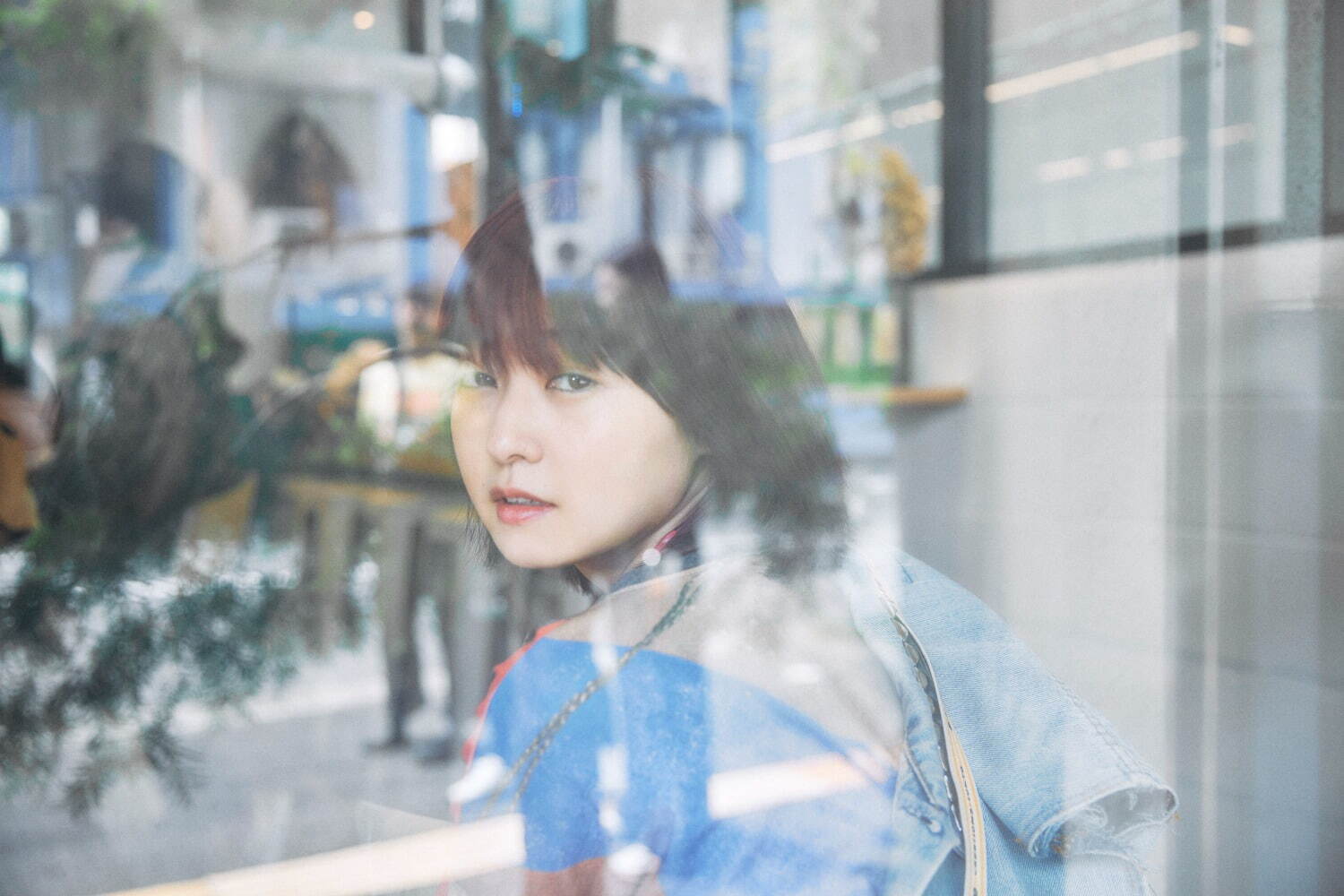 チャチャ - 写真12