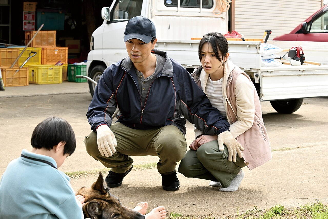少年と犬 - 写真6