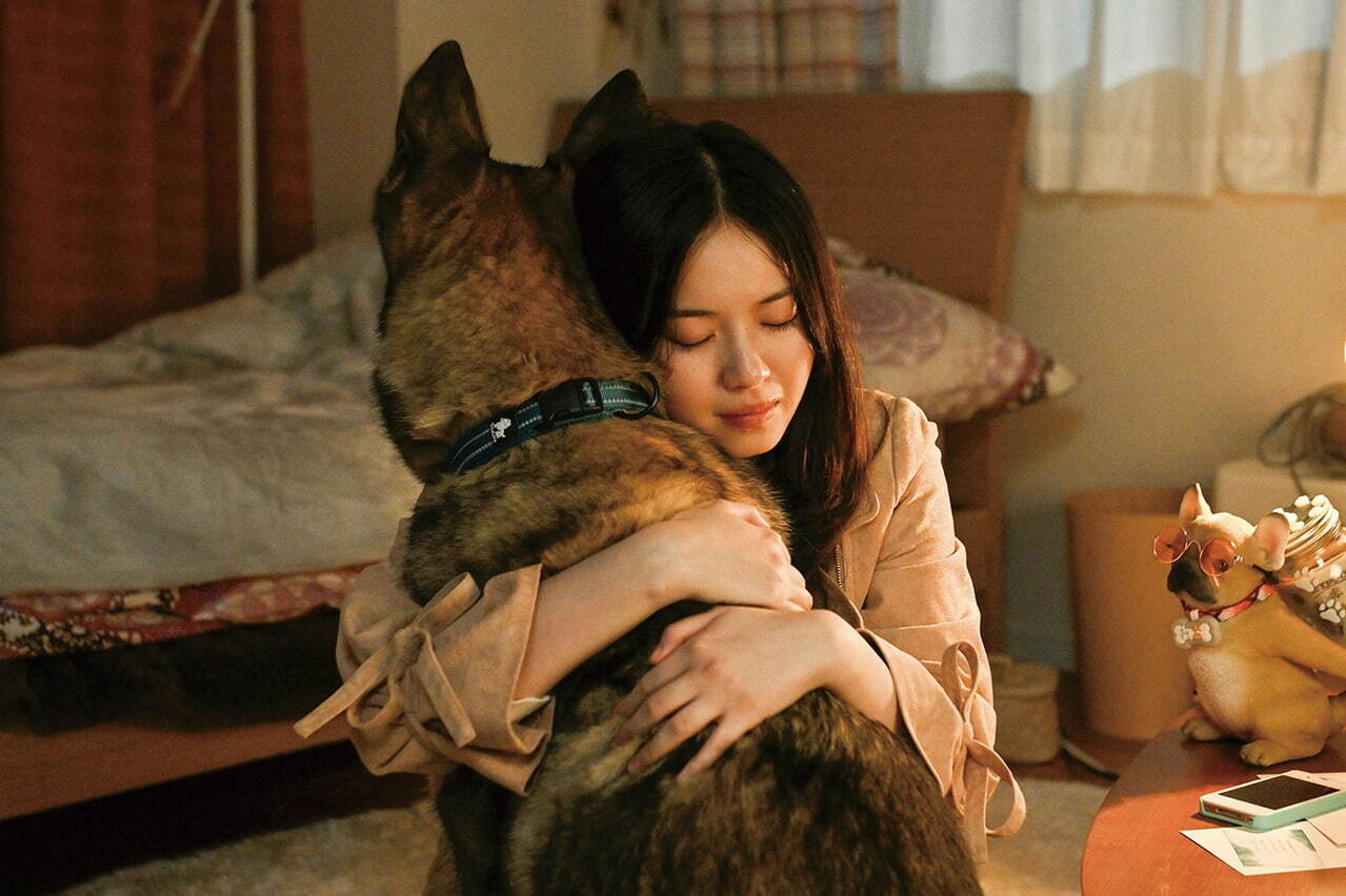 少年と犬 - 写真4