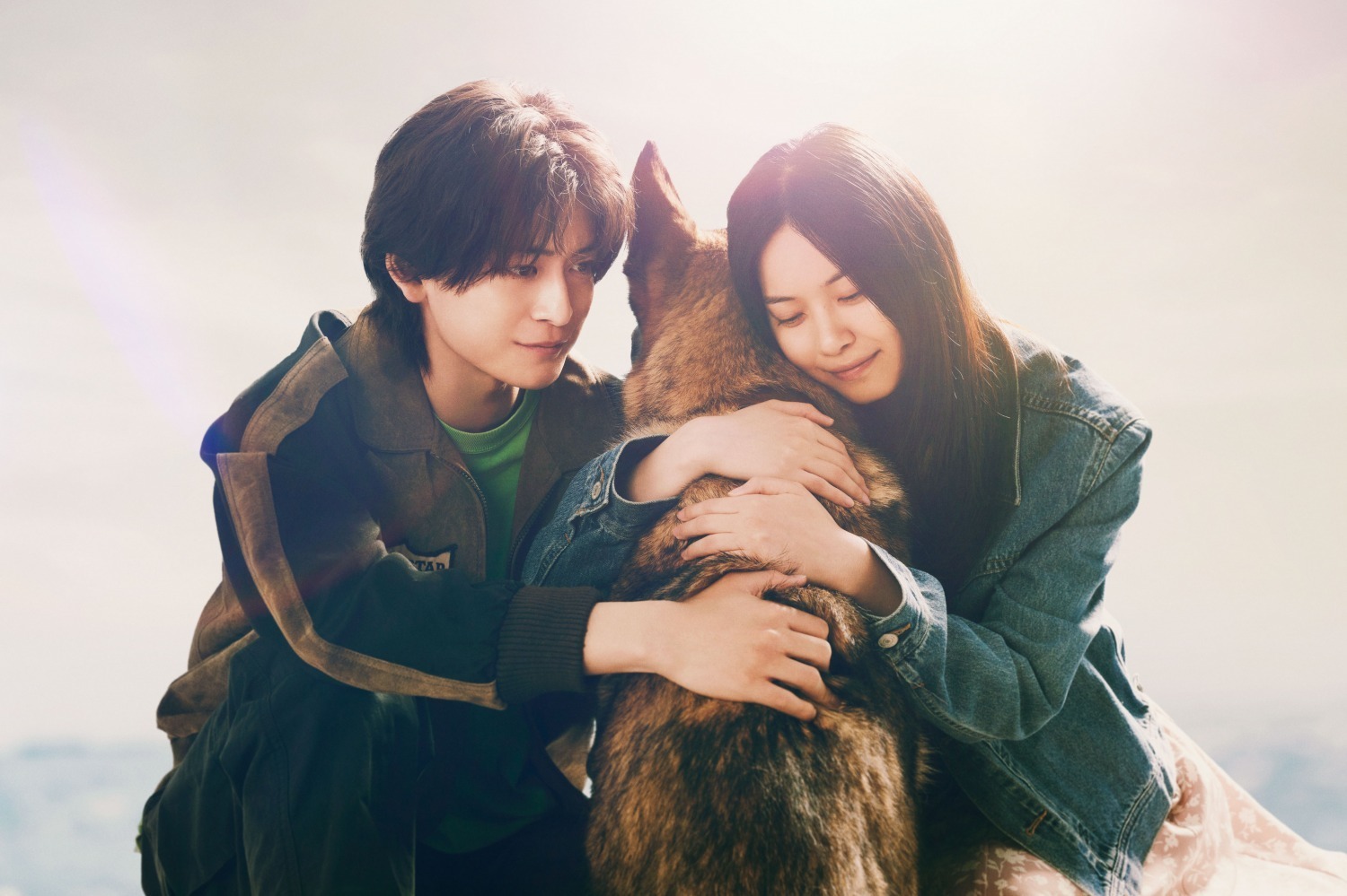 映画『少年と犬』
