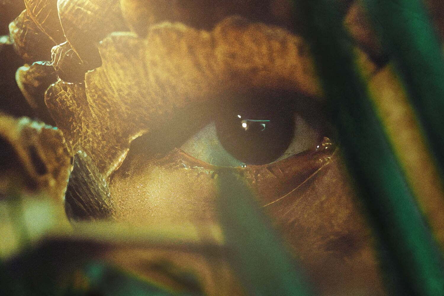 映画『動物界』