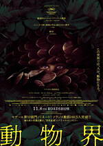 『動物界』場面カット｜写真16