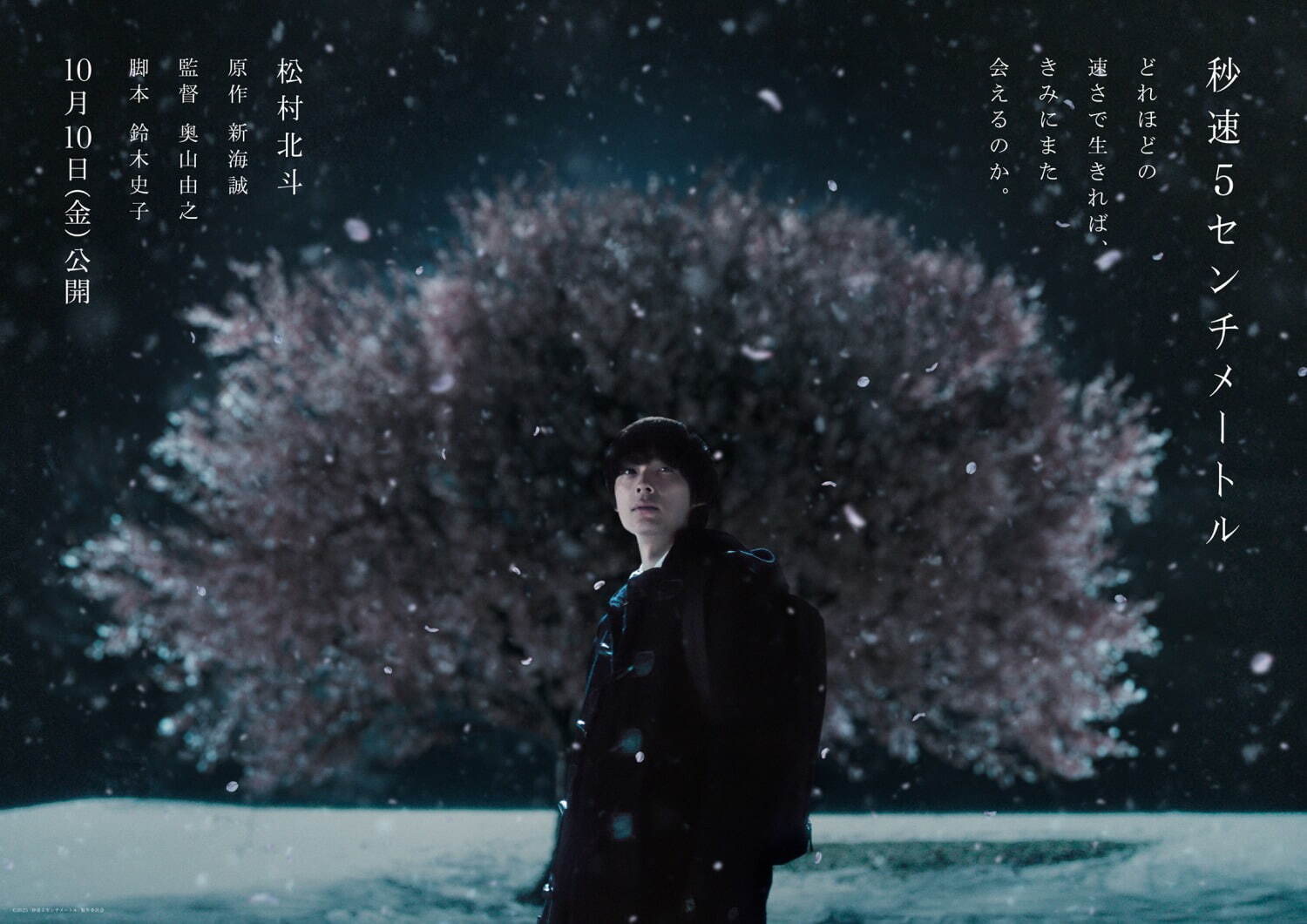 秒速5センチメートル ( 2025 ) 画像1枚目