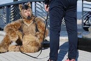 『THE オリバーな犬、(Gosh!!)このヤロウ MOVIE』場面カット｜写真3