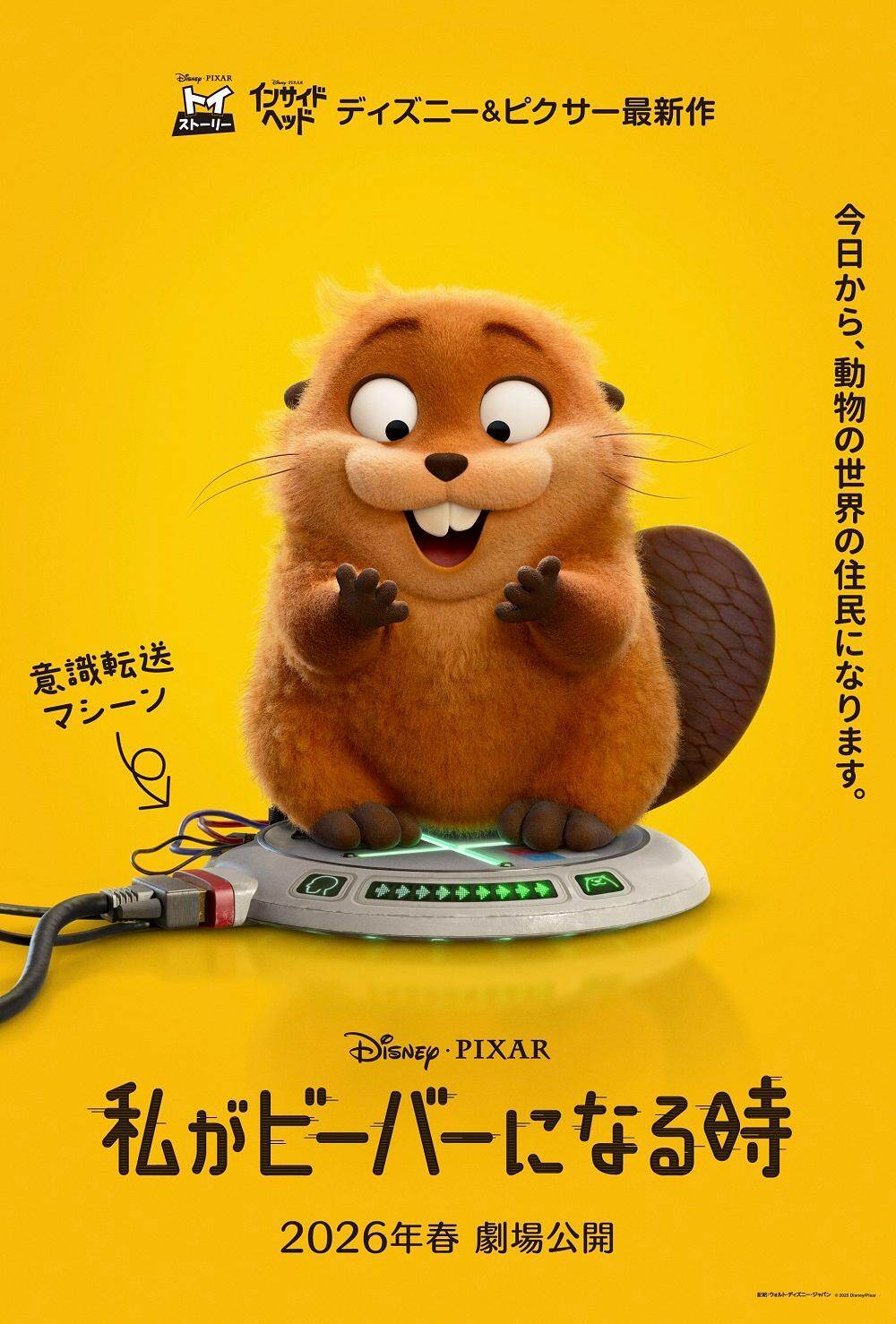 『私がビーバーになる時』場面カット｜写真2