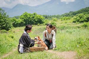 雪風 YUKIKAZE 画像13