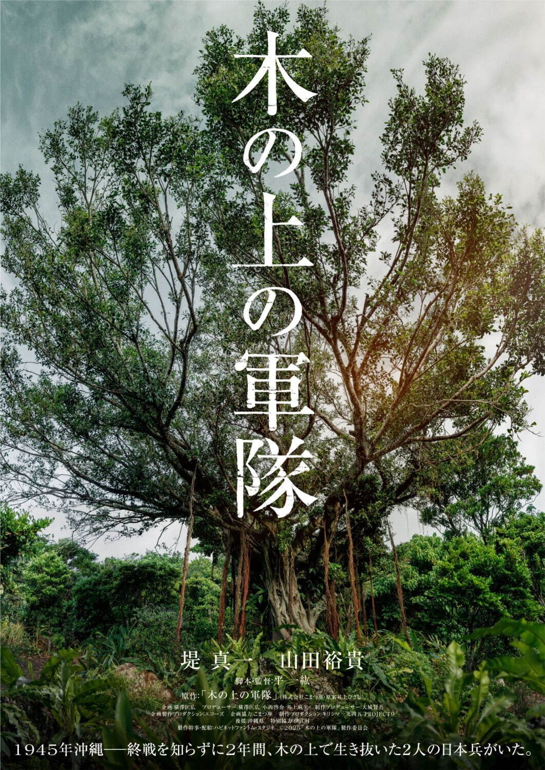木の上の軍隊 - 写真15