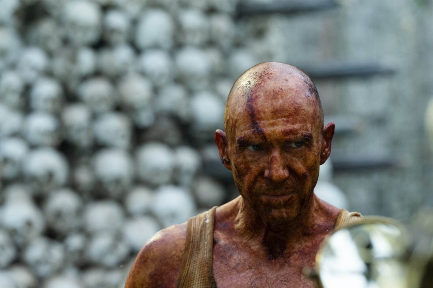 『28年後...』場面カット｜写真3