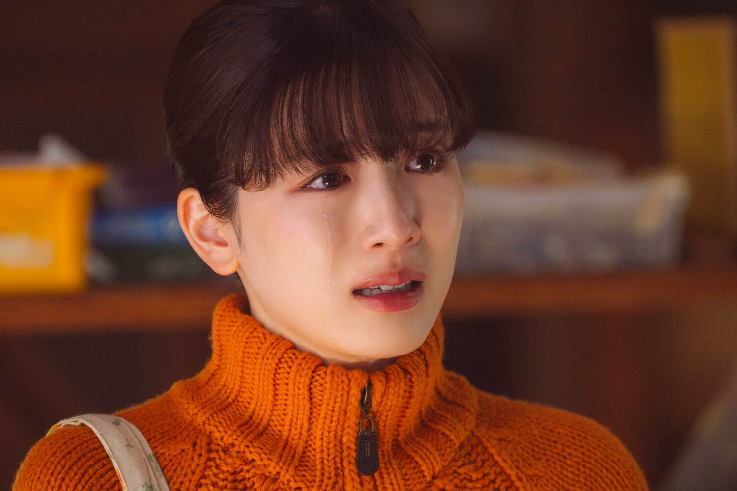 かくかくしかじか - 写真2