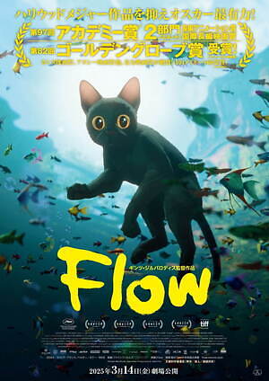 Flow 画像21