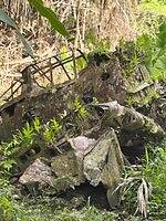 『ペリリュー −楽園のゲルニカ−』場面カット｜写真19