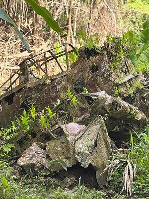 『ペリリュー −楽園のゲルニカ−』場面カット｜写真19