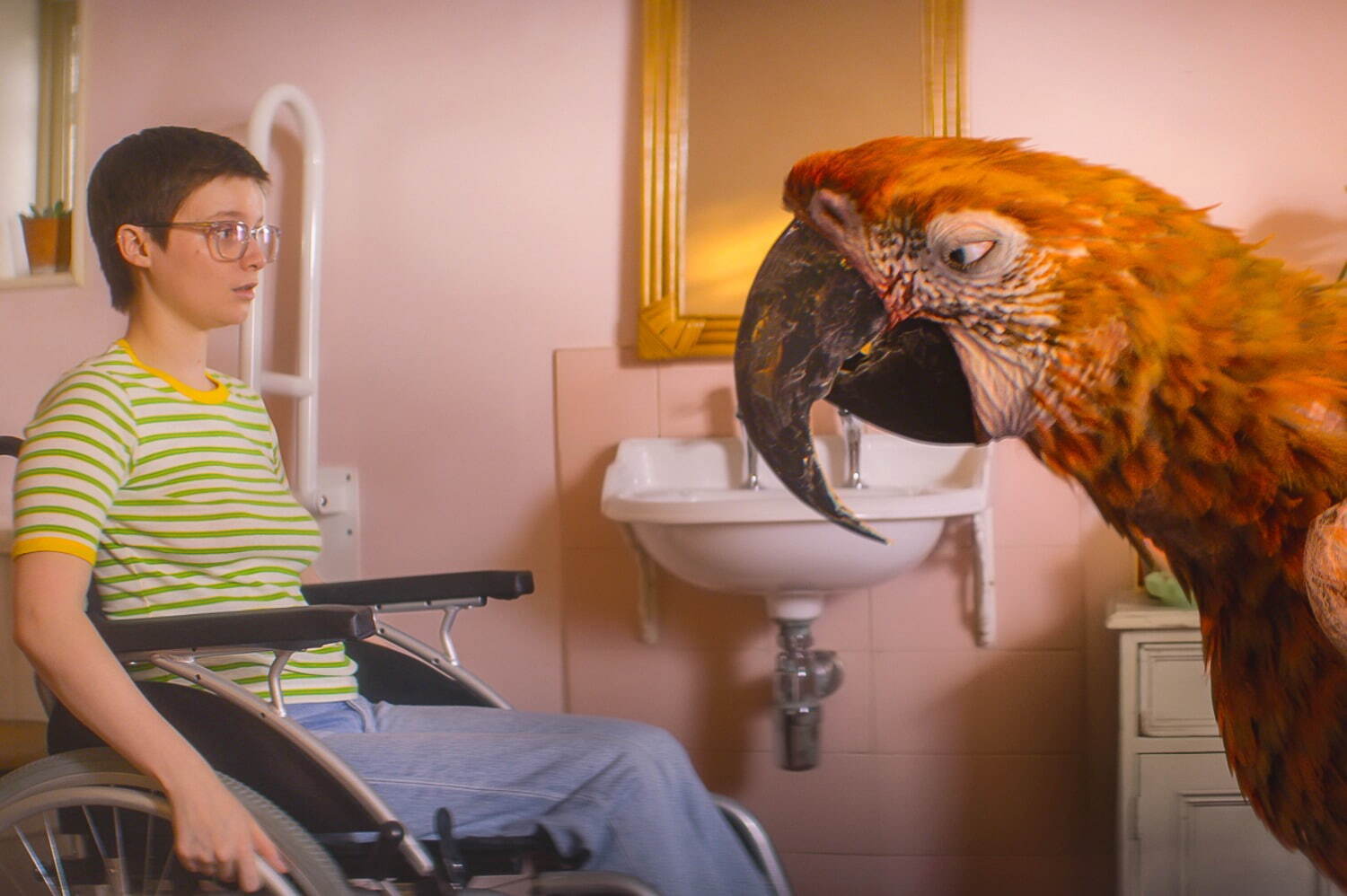 終わりの鳥 - 写真1