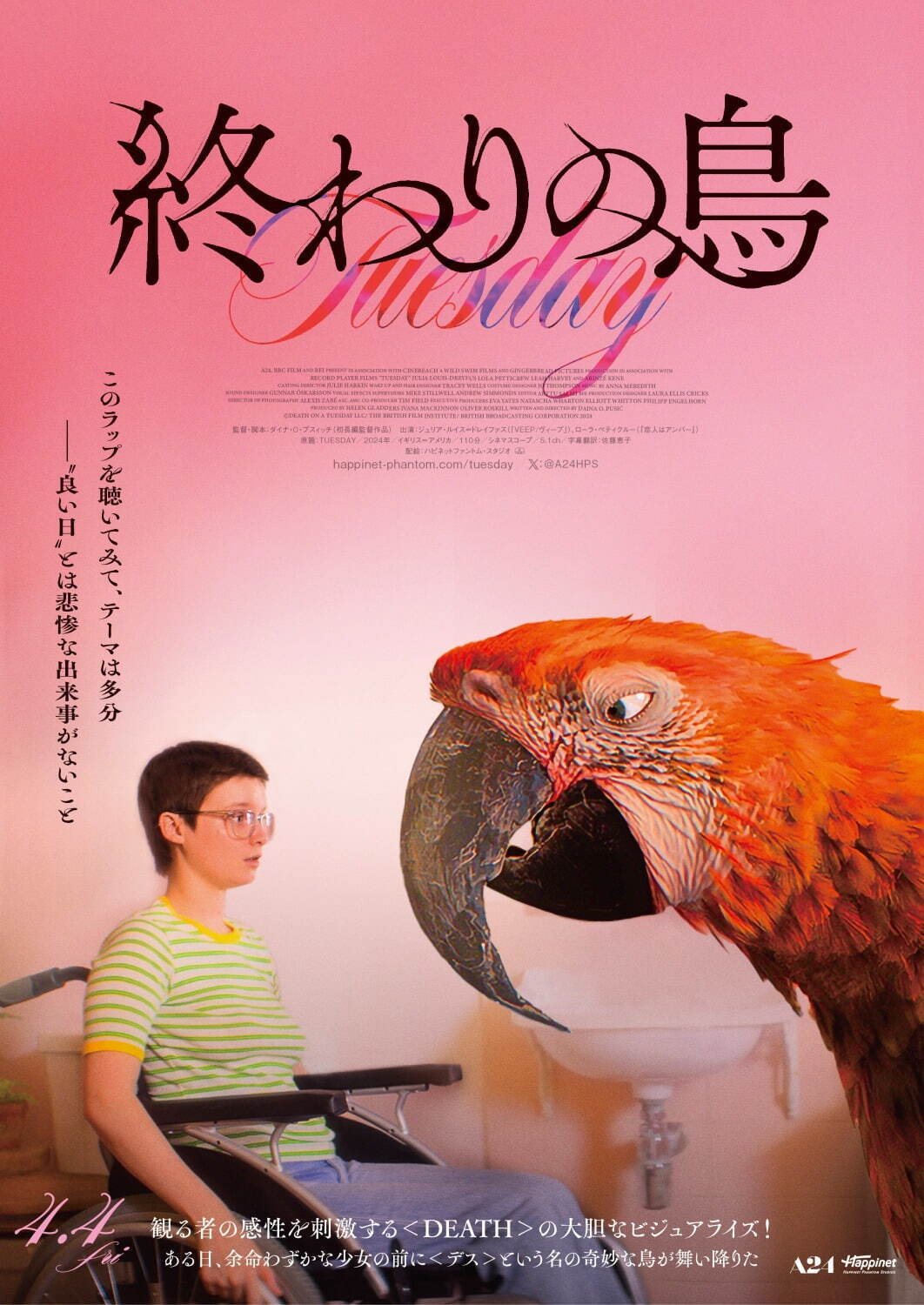 終わりの鳥 - 写真14