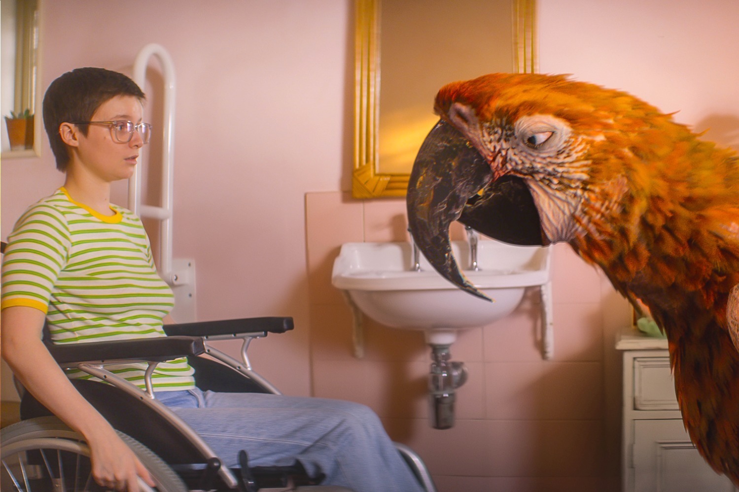 映画『終わりの鳥』