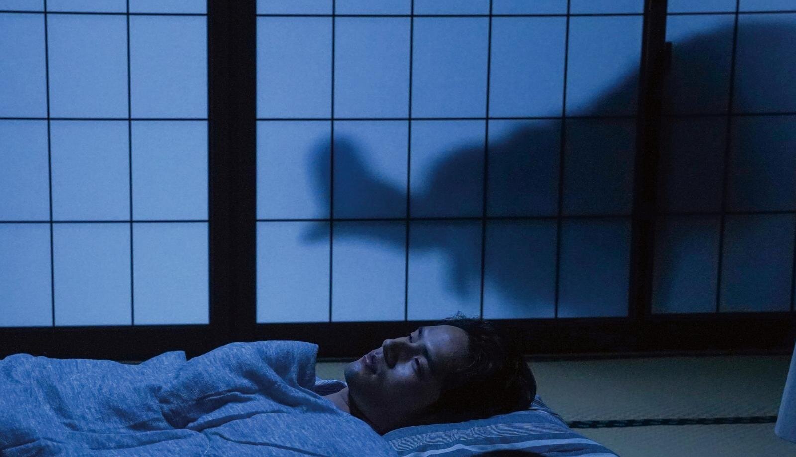 火喰鳥を、喰う - 写真17