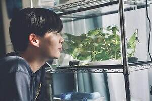 『恋に至る病』場面カット｜写真6