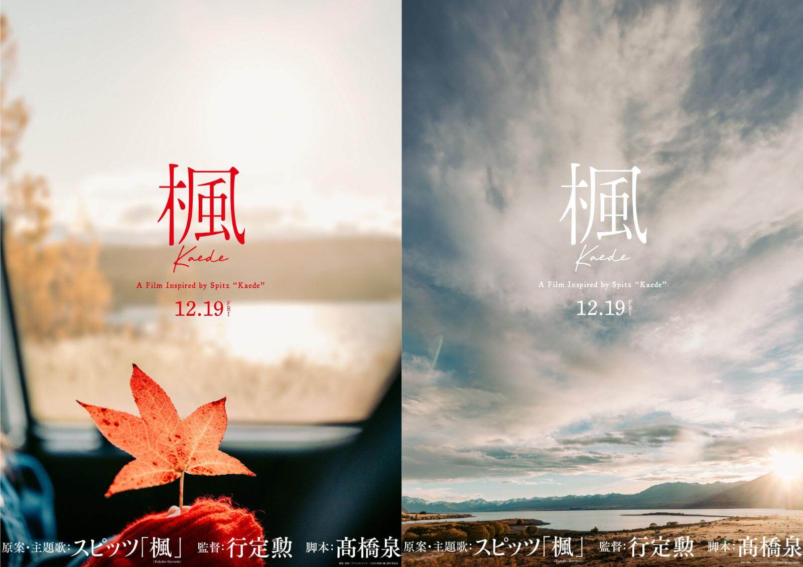 楓(かえで) - 写真6