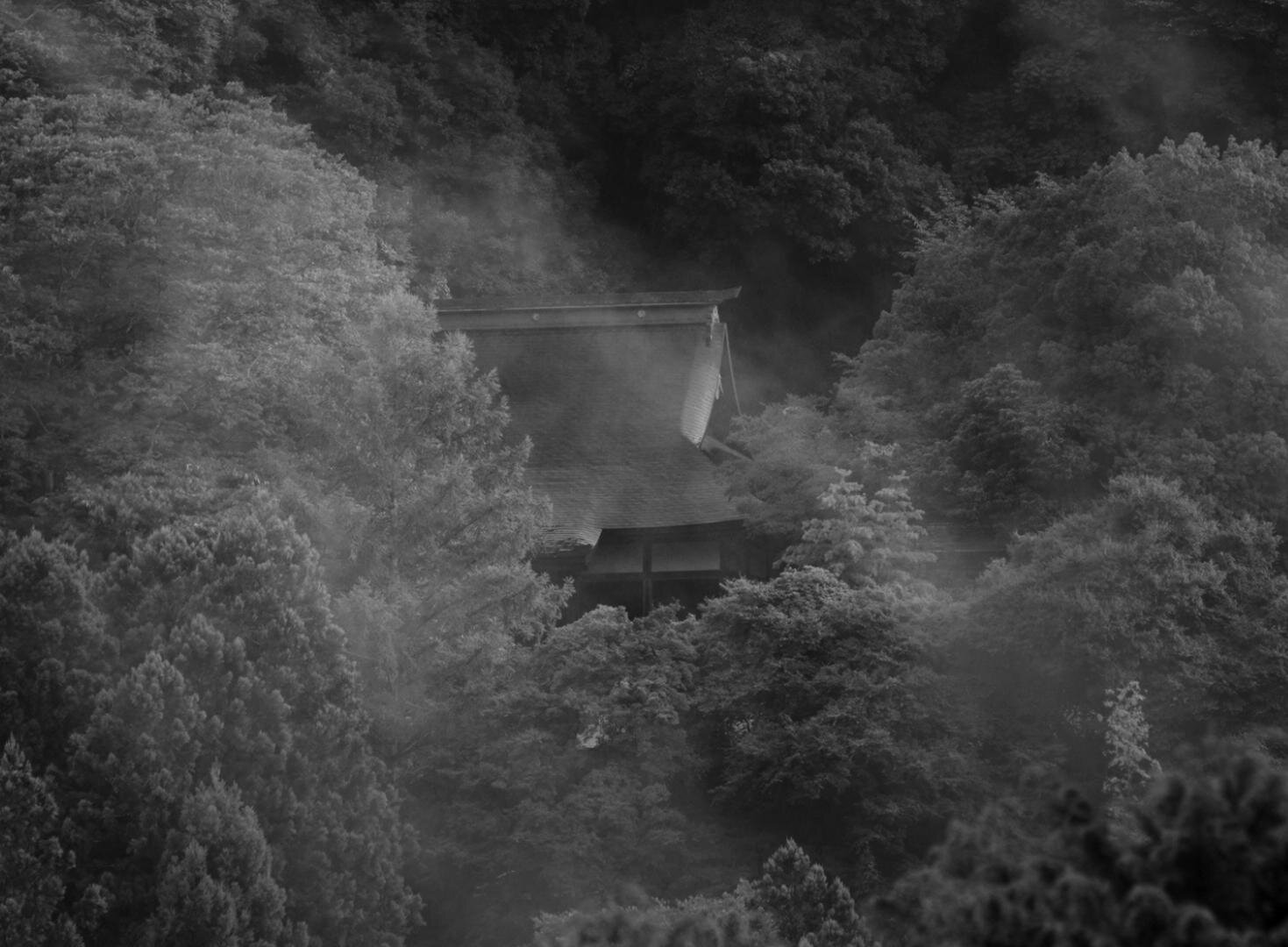 六つの顔 - 写真10