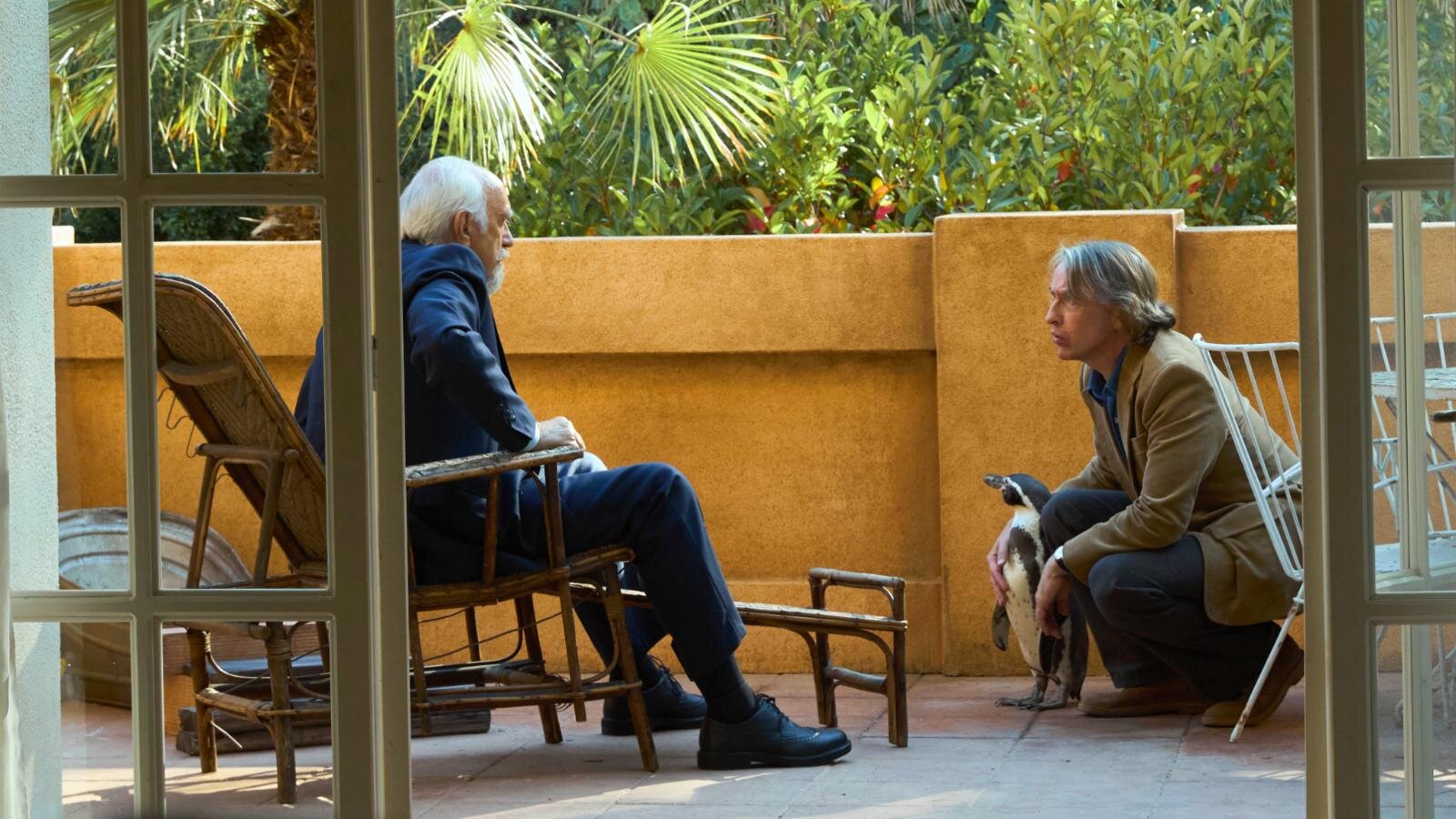 ペンギン・レッスン - 写真15