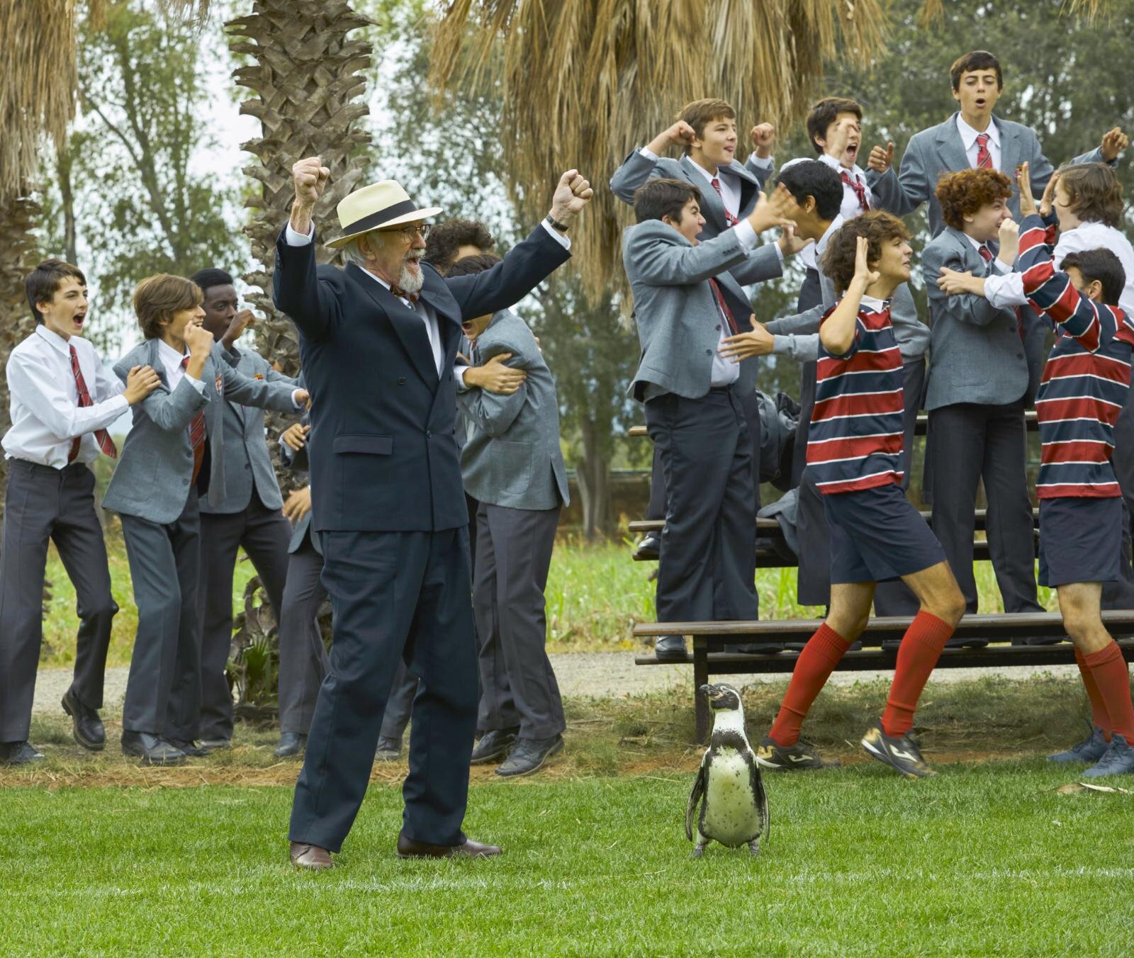 『ペンギン・レッスン』場面カット｜写真11