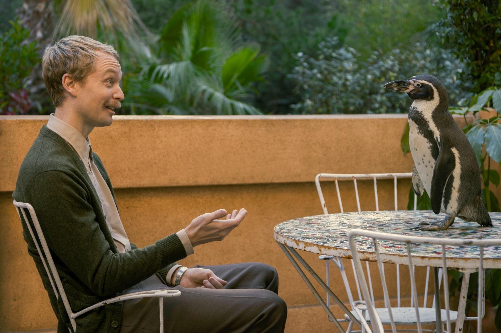 ペンギン・レッスン - 写真5