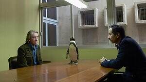 『ペンギン・レッスン』場面カット｜写真13